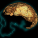 El fragmento de cráneo del espécimen de Homo erectus junto a su reconstrucción parcial.
Imagen: Andy Herries, Jesse Martin, and Renaud Joannes-Boyau